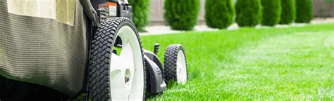 become taskrabbit tasker|Lawn Mowing & Trimming Near Me .